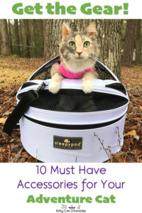 Get the Gear: 10 Must Have Accessories for Your Adventure Cat - cat in Sleepypod
