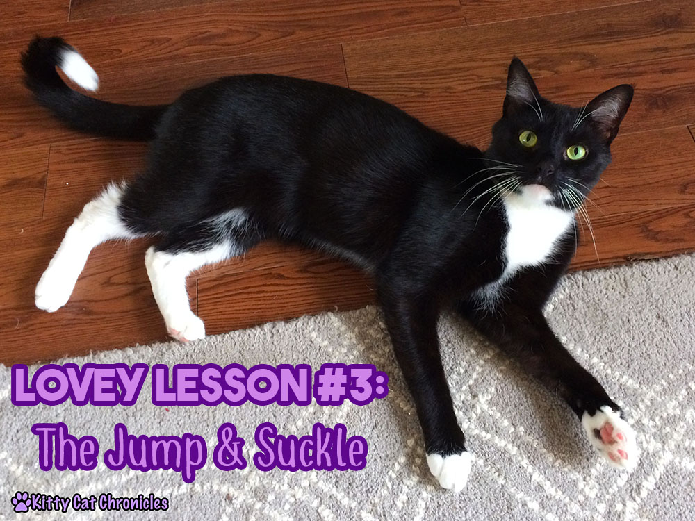 Lovey Lesson #3 with Sampson: The Jump & Suckle