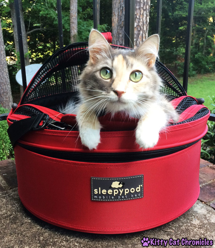 Get the Gear! 10 Must Have Accessories for Your Adventure Cat - Sophie in her Sleepypod Mobile Pet Bed