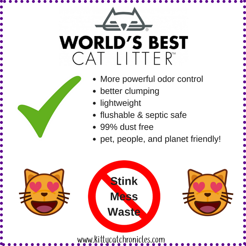 World's Best Cat Litter Zero Mess