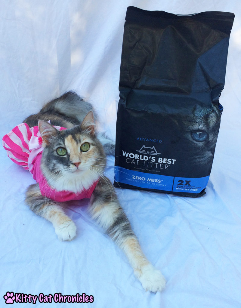 Say "Goodbye" to Mess and "Hello" to World's Best Cat Litter - Sophie