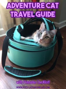 road trip with cat checklist