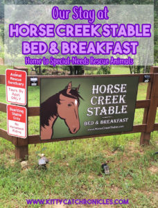 Our Stay at Horse Creek Stable Bed & Breakfast of Blue Ridge, GA