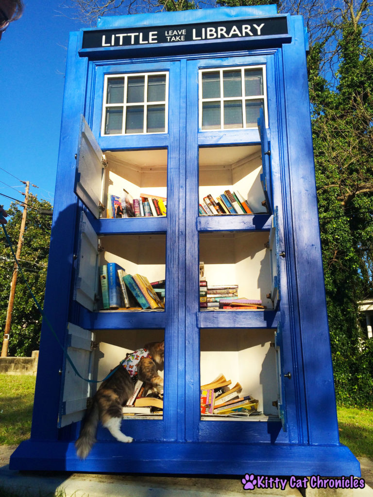 4 Destinations Close to Home to Take Your Adventure Cat - Sophie in TARDIS library