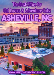The Best Cities for Cat Lovers & Adventure Cats: Asheville, NC