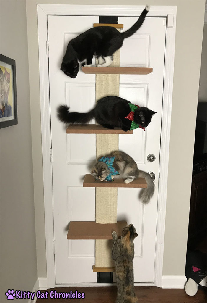 The 2017 KCC Adventure Cat Holiday Gift Guide - Pioneer Pet Cat Climber