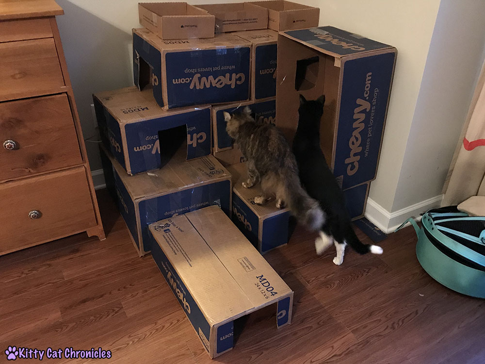 Repurpose Those Cardboard Boxes: Make a DIY Box Fort! - Quality Control Inspection