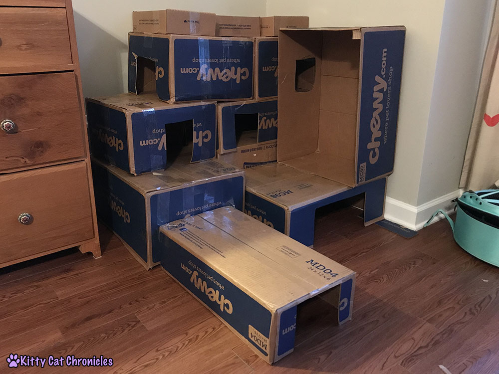 Repurpose Those Cardboard Boxes: Make a DIY Box Fort! - Box Fort Complete!