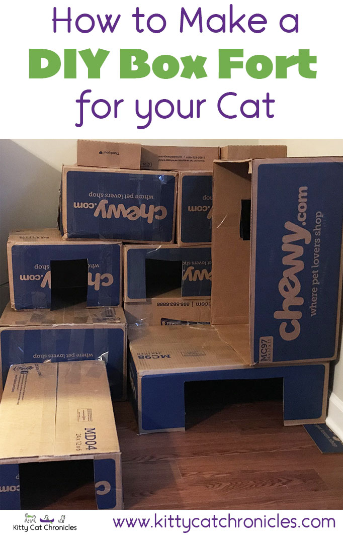 How to Make a Cardboard Box Fort for Your Cat!