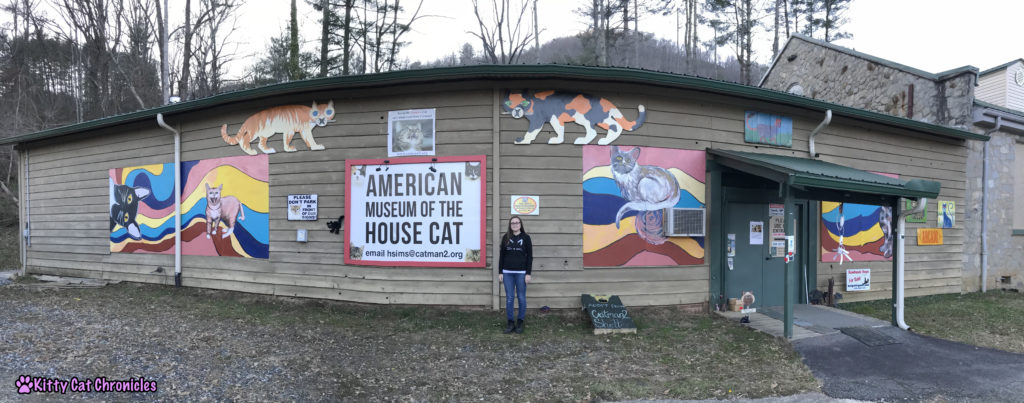 The KCC Adventure Team in Asheville: The American Museum of the House Cat