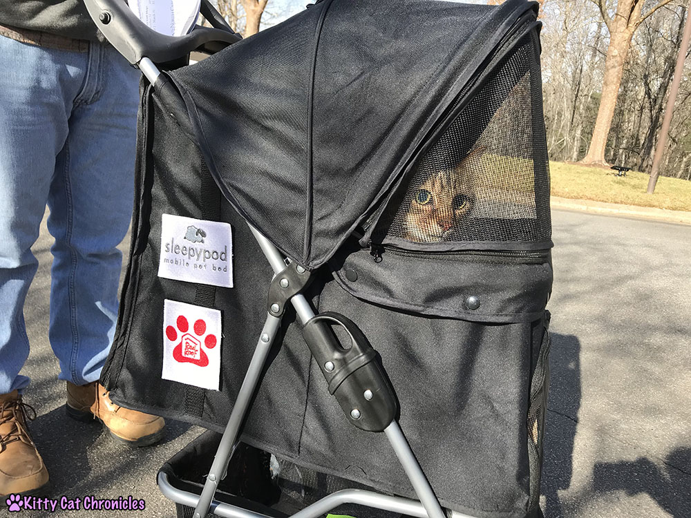 The KCC Adventure Team in Asheville: The North Carolina Arboretum - Caster in stroller