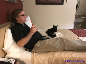 5 Reasons Red Roof Inn is Our Top Choice for Pet-Friendly Hotel Stays - Kylo Ren Adventure Cat