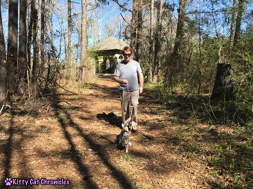 An Afternoon at Amerson River Park with the KCC Adventure Team - Sophie, cat on leash