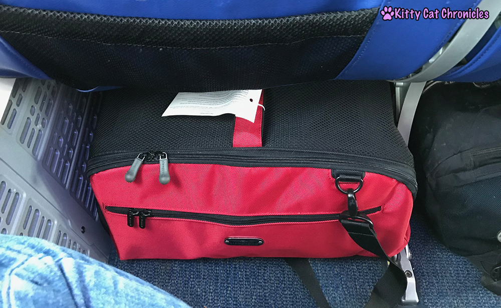 Everything You Need to Know About Flying with a Cat - Sleepypod Air under airplane seat