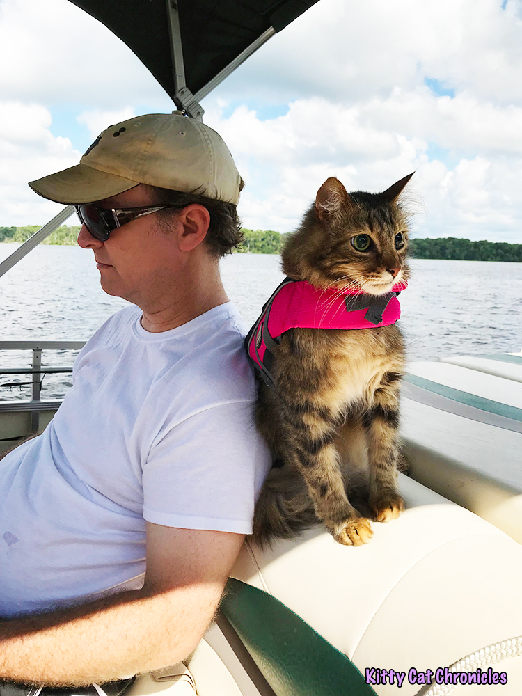 The KCC Adventure Team Tours the St. John's River & Silver Glen Springs - Caster, adventure cat on a boat