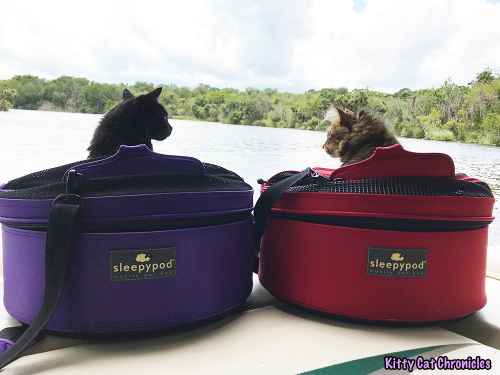The KCC Adventure Team Tours the St. John's River & Silver Glen Springs - cats in Sleepypods on a boat