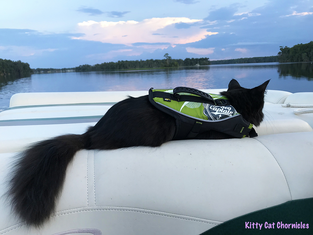 The KCC Adventure Team Tours the St. John's River & Silver Glen Springs - Kylo Ren watching sunset on a boat