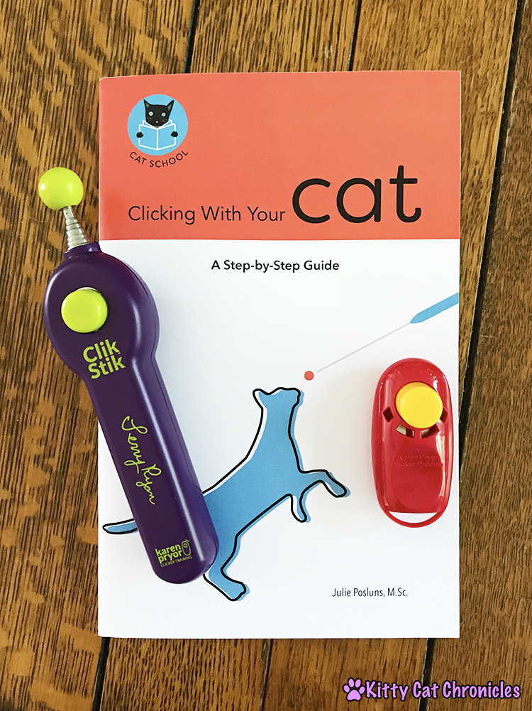 7 Reasons to Start Clicker Training Your Adventure Cat - Cat School Cat Training Kit