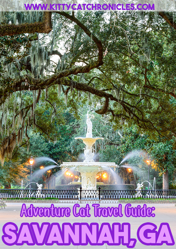 Adventure Cat Travel Guide: Savannah, GA