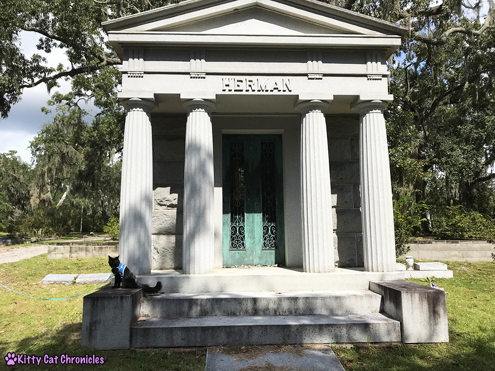 Savannah Explorations with Kylo Ren - Bonaventure Cemetery