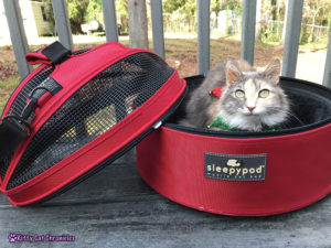 Why We Love the Sleepypod Mobile Pet Bed + a Holiday Giveaway! - a comfy pet bed