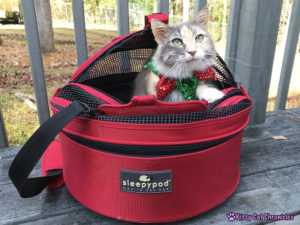 Why We Love the Sleepypod Mobile Pet Bed + a Holiday Giveaway!