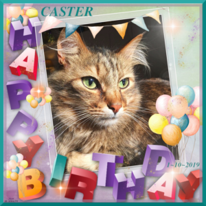 Happy 6th Birthday, Caster!