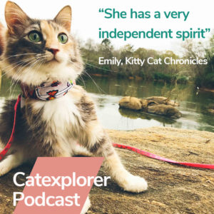 Our Interview for the NEW Cat Explorer Podcast - Kitty Cat Chronicles