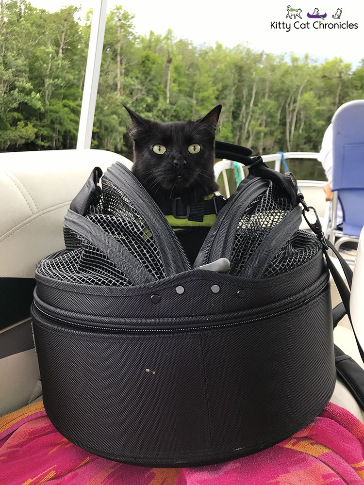 Kylo Ren and the 3-Hour Boat Tour - cat in a Sleepypod on a boat