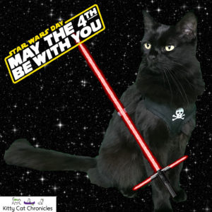 Kylo Ren - May the 4th Be With You - Star Wars Cat