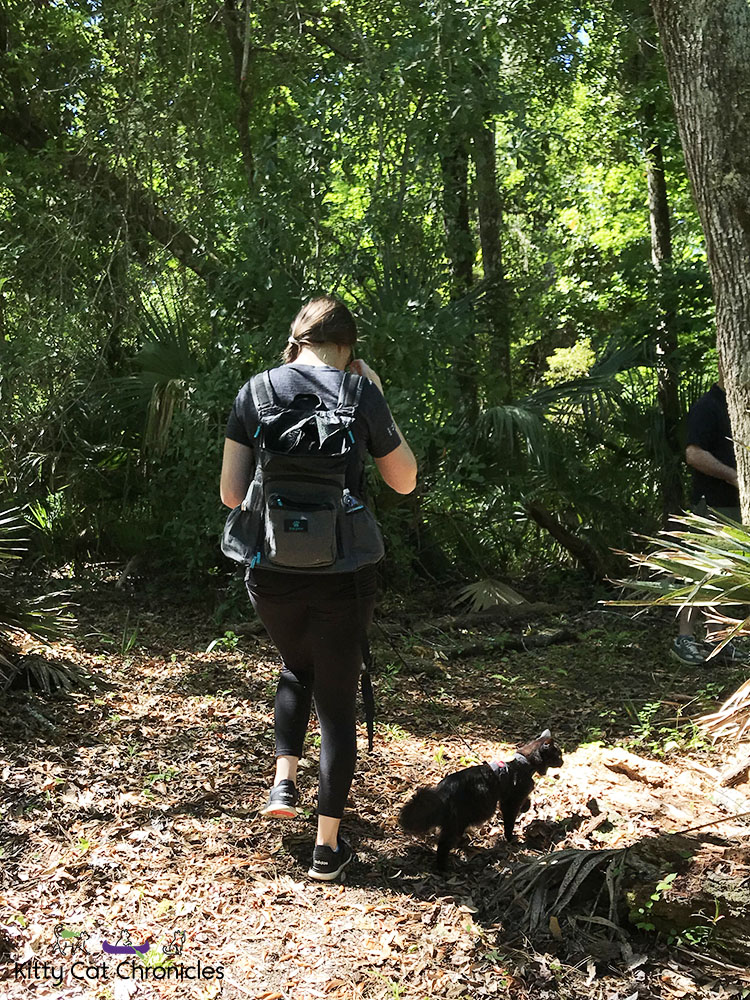 Hiking in the Welaka State Forest with Kylo Ren - black cat hiking in woods
