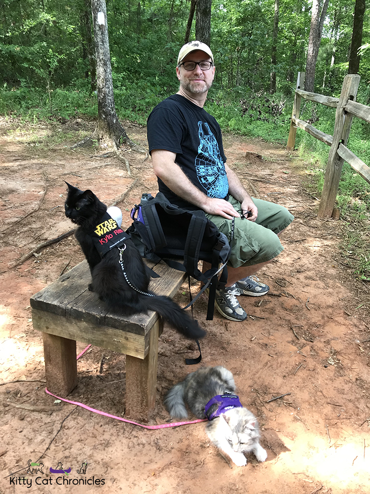 Sophie's Birthday Adventures - Brown's Mount & Amerson River Park - cats hiking on Brown's Mount trail