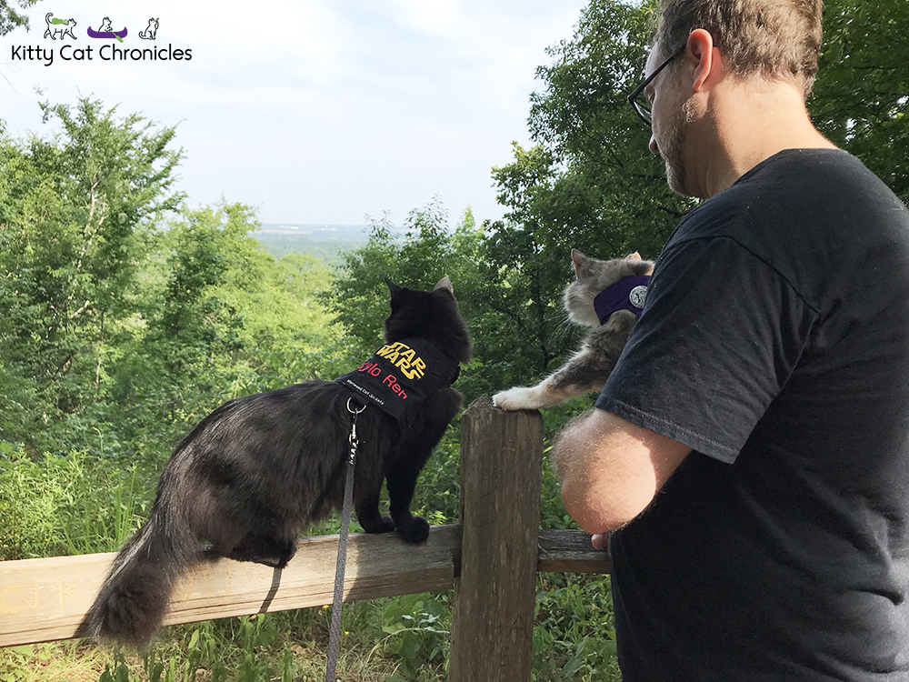 Sophie's Birthday Adventures - Brown's Mount & Amerson River Park - cats observing overlook on Brown's Mount hiking trail