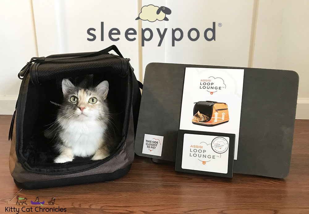 Sleepypod Air Assisi Loop Lounge with cat inside