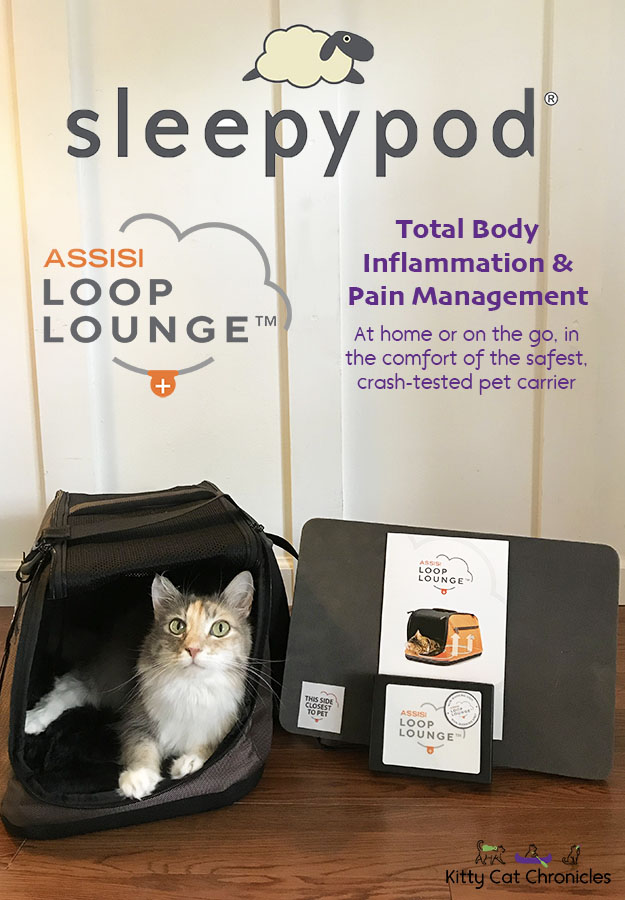 Sleepypod Assisi Loop Lounge - cat in Sleepypod Air with Assisi Loop
