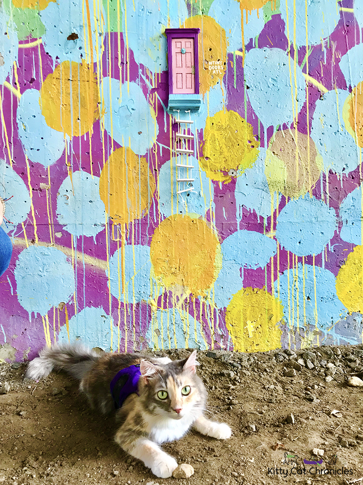 Exploring Atlanta with Sophie - cat on Atlanta BeltLine, mural painting