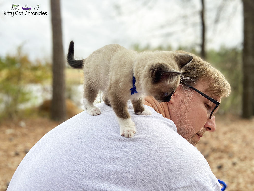 Family Hike in Caster's Memory - kitten on shoulders