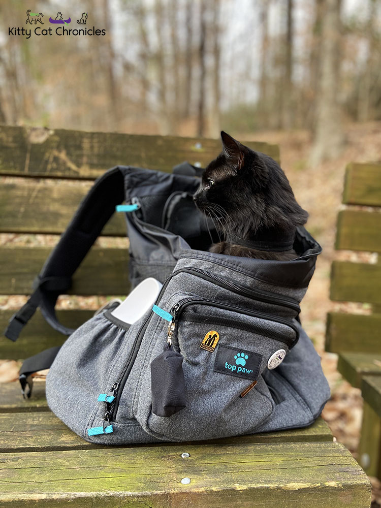 Family Hike in Caster's Memory - Kylo in cat backpack