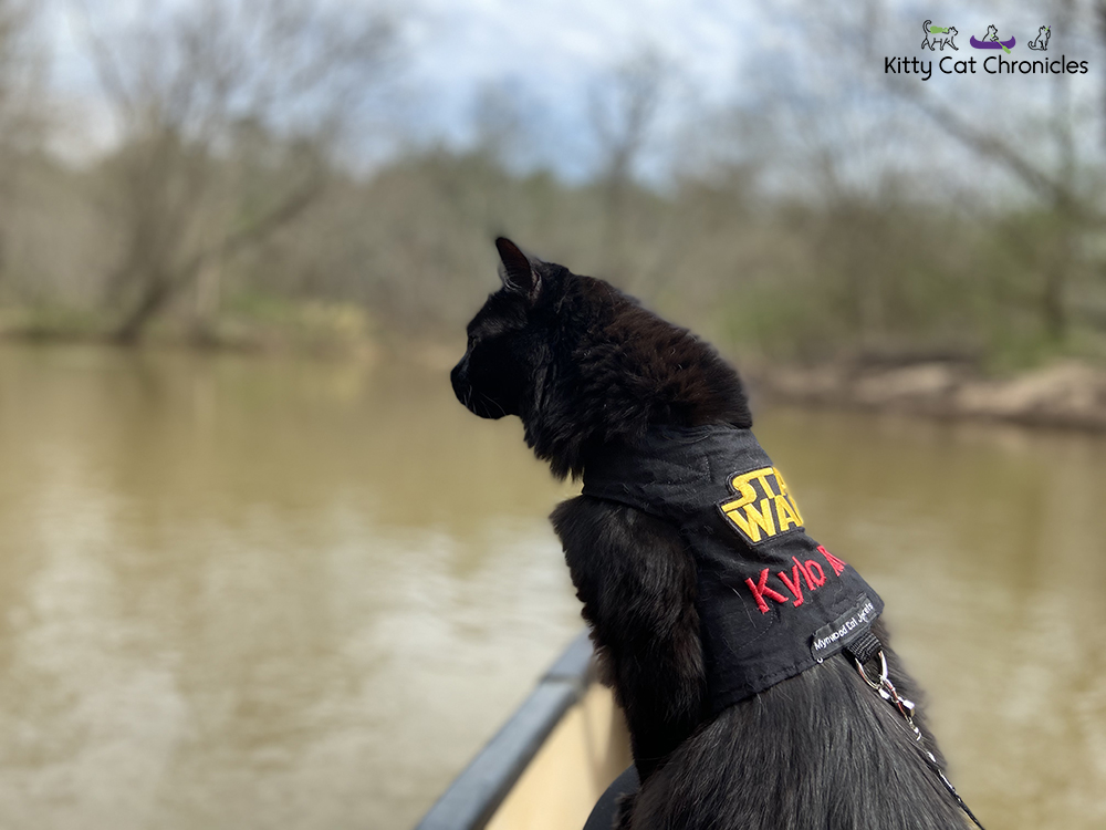 Our Athens Getaway - black cat canoeing