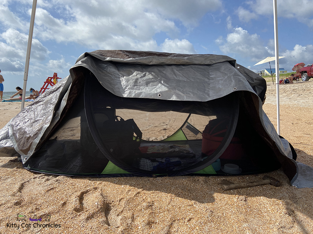 Florida Beach Days with Kylo Ren and Gryphon - cat tent on the beach