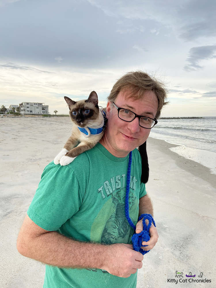 cat riding on shoulders on the beach